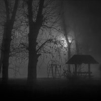 НОЧЕР :: Александр Кустов