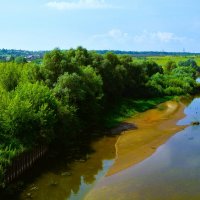 Алатырь. Ивы правого берега реки Алатырь. :: Пётр Чернега
