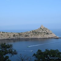 Природа Крыма :: Amazing Cosmea