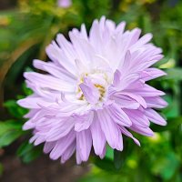 ,,, :: Сергей Тимоновский