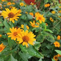 ,,, :: Сергей Тимоновский