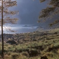 После дождя :: Марина Фомина.