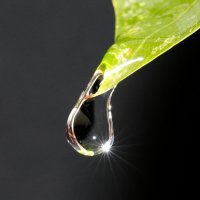 Капля воды :: Oleg S Капля воды :: Oleg S