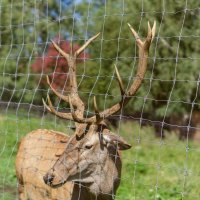Давай знакомиться! :: Дмитрий Ряховский