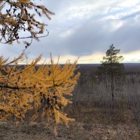 Вечер :: Anna Ivanova