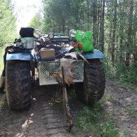 Рабочий конь, болотоход :: Галина Ильясова Рабочий конь, болотоход :: Галина Ильясова