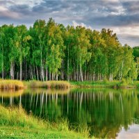 *** :: Алексей Мезенцев