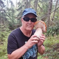 с белым грибом :: леонид логинов