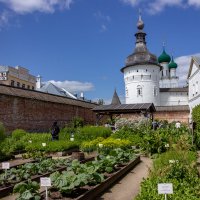 Аптекарский огород.Ростовский кремль. :: ирина )))