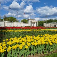 ВДНХ :: Наталья 