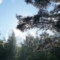 "После дождичка небеса просторны..." :: zavitok *