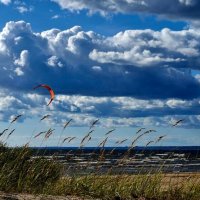 облака :: Хватова Марина 