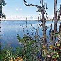 У Нарвского водохранилища :: Veera V