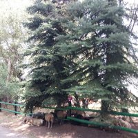 Talgar. :: Murat Bukaev 