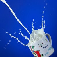 утренее молок 2 :: Denis Doroshenko