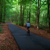 *** :: Dan Berli *** :: Dan Berli