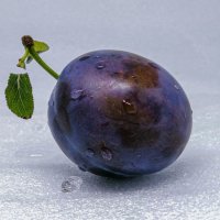 Слива :: Любимова Ольга 