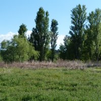 Природа  Крыма :: Валентин Семчишин