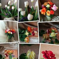 Коллаж из моих фотографий :: Светлана Хращевская