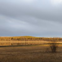 Озеро в лесу :: Anna Ivanova