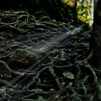 ... :: Игорь Хижняк