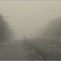 *** :: Aleksandr Gal