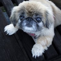 - Мне б работать фонарём- никто бы в темноте не набил себе синяк! :: Евгений 