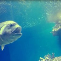 112 (201) :: СТРЕН 