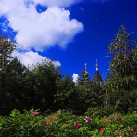 Август...Храм, облака и ещё цветущий садовый шиповник! :: Владимир 