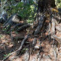 Конец июля - тоже середина лета :: Галина Минчук Конец июля - тоже середина лета :: Галина Минчук