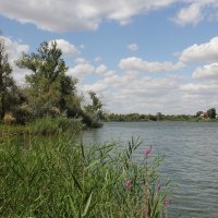 **** :: Виктор 