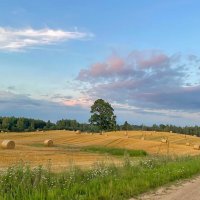 Summer 2025 7 :: Arturs Ancans