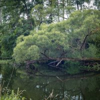 Тихая река :: Олег Дорошенко Тихая река :: Олег Дорошенко