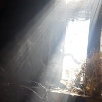 Хлам в лучах солнца :: sorovey Sol Хлам в лучах солнца :: sorovey Sol