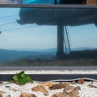 *** :: Валерий Михмель 