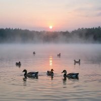 На озере :: Irene Irene