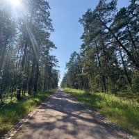 По дороге на Святую Гору...Остров "Коневец" :: Наталия Павлова