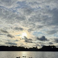 Пруд на закате :: mvictoriya 