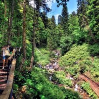 В парке водопадов Менделиха :: Mikhail Irtyshskiy В парке водопадов Менделиха :: Mikhail Irtyshskiy