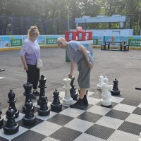 Шахматы :: Дмитрий Никитин