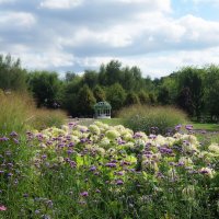 Прозрачный воздух августа душевного. :: Люба Прозрачный воздух августа душевного. :: Люба