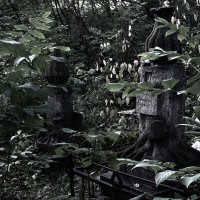 *** :: Сергей Сергеев