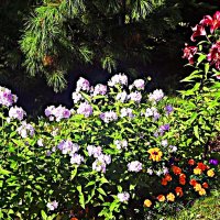 Август....Уголок цветника Храма Всех Святых! :: Владимир 