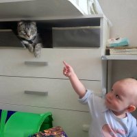 Немая сцена. :: Ольга Довженко Немая сцена. :: Ольга Довженко