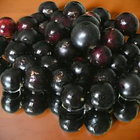 Про смородинку... :: Андрей Заломленков