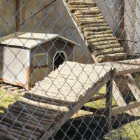 РЫСИ_ВСЕ_НАДОЕЛО :: Сергей Янович Микк