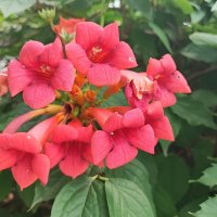 ,,, :: Сергей Тимоновский