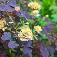 ,,, :: Сергей Тимоновский