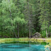 *** :: Николай Чекалин