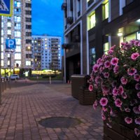 Природа в Городе :: юрий поляков